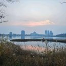 영랑공인중개사사무소 이미지