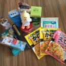 백야를 보러가자