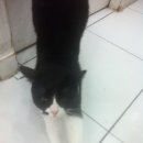 리즈동물병원 이미지