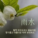 윤서네 칼국수 이미지