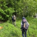 신기노인정 이미지