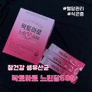 아로유통 | 락토아로 느린당500(프리미엄 생유산균)ㅣ혈당관리 식전필수템