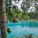 그림자호수 | 삿포로 흰그림자투어 7월 여행 청의호수, 흰수염 폭포 후기, 가는 방법, 주변 맛집