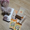 부성주유소 | 1달만에 돌아온 블로그