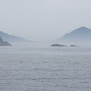 서해 참돔 타이라바, 생미끼를 넉다운 시킨 웜 채비 침선 우럭낚시 이미지