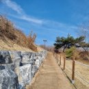 원주 번재마을 바람숲길 후기