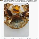 이탈리아산 블루크랩 간장게장 후기 이미지