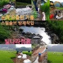 기름을 싣고가던 유조차의 전복 또는 장비나 차량이 사고가나서 유출된 기름의 제거는 어떻게 해야하는가?