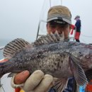 오천항뉴펜션 이미지