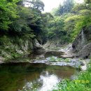 대평 목장 이미지