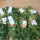 금바위농장 이미지