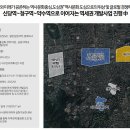 아델리아 이미지