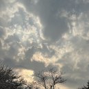 광팔이족발 | 240404 인천 SSG 랜더스필드 문학경기장 노브랜드 2층 테이블석 20블록 A열 시야 / SSG vs 두산 직관 후기
