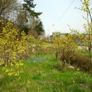 백양산 등산로 이미지