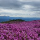 개화영농조합법인 이미지