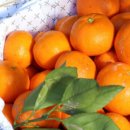 흑토랑농장 이미지