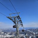 평창 휘닉스파크 이미지