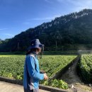 드론 조종 이미지