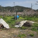 용리농장 이미지