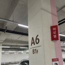아울렛팀세븐 이미지