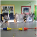 경희대아이스타태권도 | 인천원당동태권도 프로그램 안내 경희대 아이스타 태권도