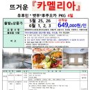 더카멜리아