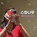 상암피부관리 추천 : 스파나무 상암점 엑소좀 60분관리 환해진 피부톤 솔직후기