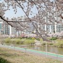 이동4공원 공영주차장 이미지