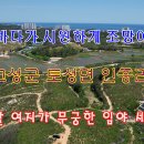 동해글램핑장 이미지