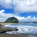 제주사계 이미지