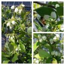 들샘농장 이미지