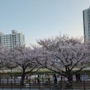 봉이짝갈비