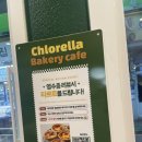 클로렐라베이커리카페