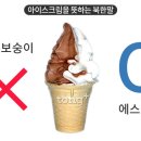 얼음보숭이