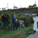 체험농장 민박 이미지