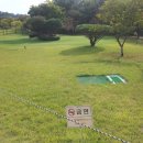 신동아114공인중개사사무소 이미지