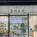플레로세 네이버블로그