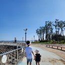 도그 팰리스 | 당진도그팰리스 1박후기
