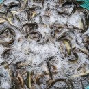 시항골농장 이미지