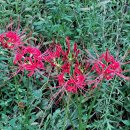 효창공원 이미지