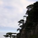 비취 - 광명시 오리로854번길 16-7 | 비취