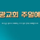 검배로136번길 이미지