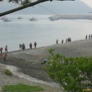 완도 예송리 상록수림 이미지