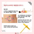 배꼽 이미지