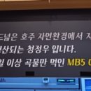광교갈빗살
