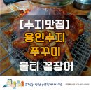 불티꼼장어 이미지