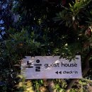 노을 게스트하우스 | 제주도게스트하우스 중 애월 파티와 힐링을 모두 누릴 수 있는 곳, 노을게스트하우스 후기