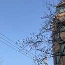합정 교정재활피티 라노필라테스 앤 피티 합정점 후기