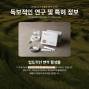 베네쎄일레븐
