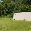 장금이 해장국 이미지